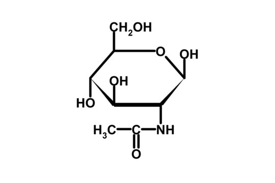 NAcetylglucosamin Bilder Durchsuchen 1 Archivfotos,