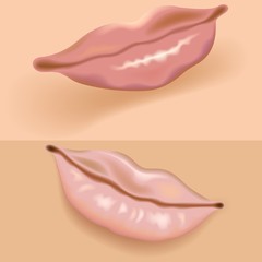 lips vol.1