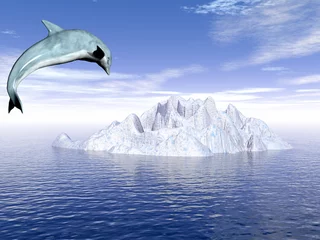 Photo sur Plexiglas Dauphins dauphin_glace