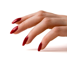 fingers