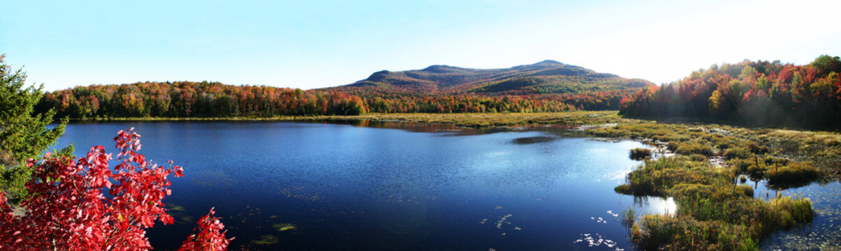 lac stuckely