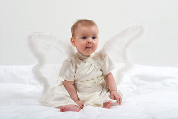 Fototapeta premium little fairy