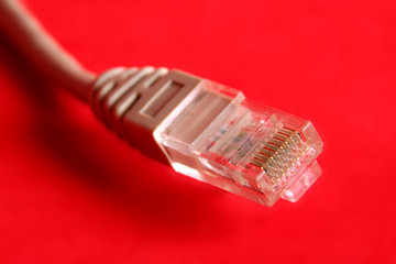 network cable