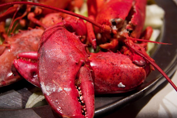 lobster dinner
