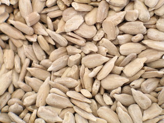 sonnen blumen kerne nah aufnahme