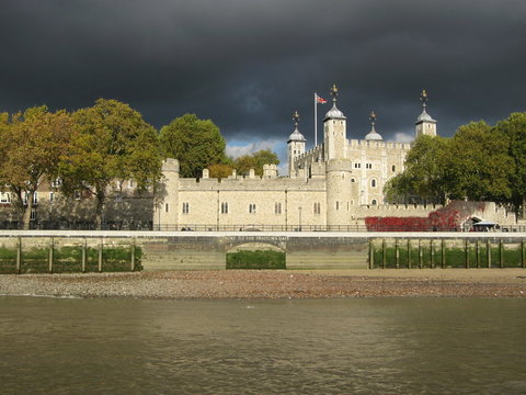 the towern