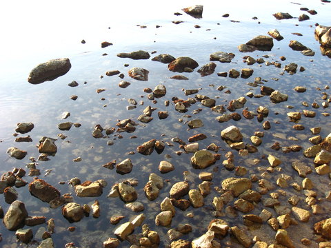 sassi