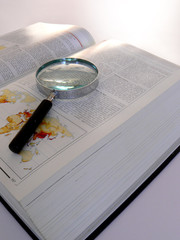 dictionnaire et loupe