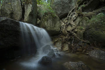 dark water