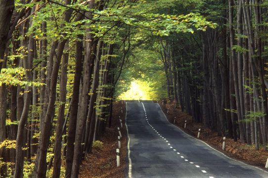 strasse