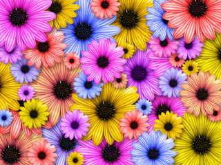 background made from coloured flowers