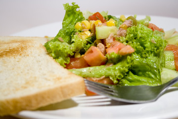vegetable salad with toast