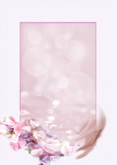 frame_petal