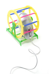 computer mouse in pet exercise wheels