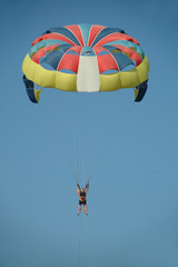 paraglider