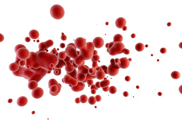 blood red corpuscles