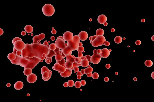 blood red corpuscles