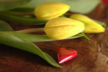 tulpen mit herz