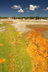 hotsprings