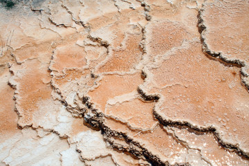 Fototapeta premium geyser at mammoth hot springs