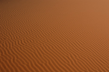 sahara desert