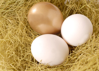 a golden egg and two white eggs in a nest