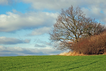 Obraz premium landschaft