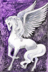 Obraz na płótnie Canvas stock illustration of white pegasus