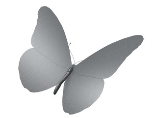 papillon the gray butterfly