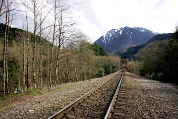 Fototapeta premium railroad tracks