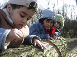Drei kleine Kinder spielen auf einem Baumstamm in der Natur