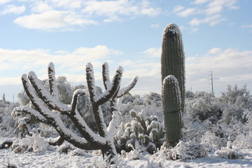 desert snow