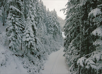 ski resort bansko in bulgary.