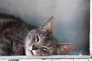 don't wake up policeman