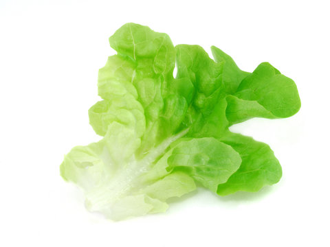 salade 1