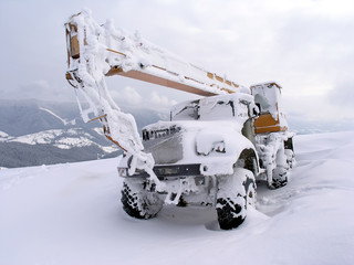 snow crane