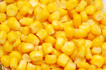 sweet corn kernels arranged as background