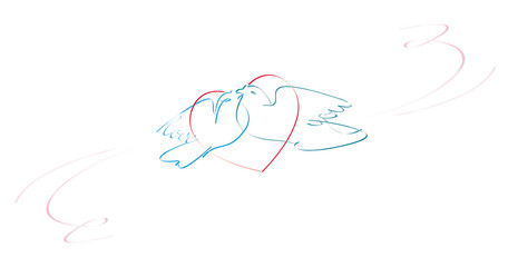 loving dove couple in a heart shape