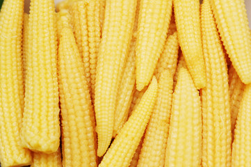 baby corn arranged as a background