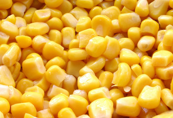tinned corn details