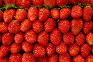 fresas