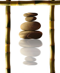 porte zen