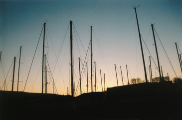 marina sunset