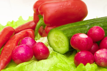 set of different spring vegetables