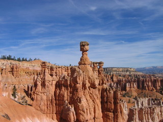 Fototapeta premium usa