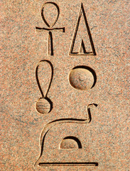 ancient egyptian hieroglyphics - portrait