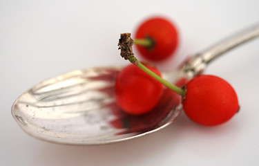 fancy spoon with red holly berries