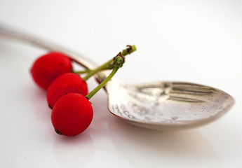 fancy spoon with red holly berries