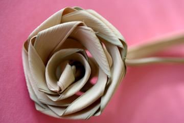 rose