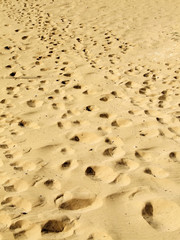 desert sands